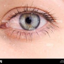 A close-up view of eyelashes along an eyelid