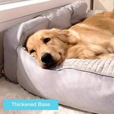 A dog resting on a padded pet bed.