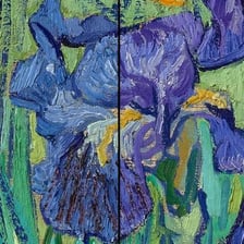 Vincent van Gogh’s 1889 painting “Irises.”