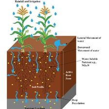 Educational illustration showing minerals being leached from soil by water