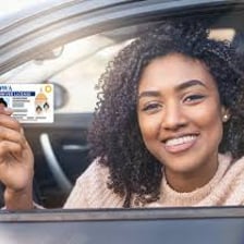A driver holding a government-issued driver's license