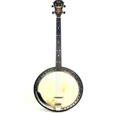 A traditional banjo with its round body and long neck.