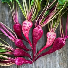 A freshly harvested red beet with its leafy greens.
