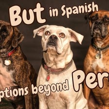 Spanish-language text featuring the conjunction “pero.”