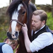 A horse is led calmly by a handler.