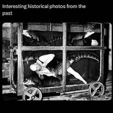 A collection of old photographs representing past events.