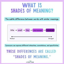 A conceptual illustration of subtle differences in meaning.