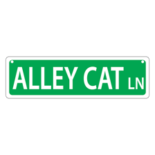 A simple streetscape with signs referring to a lane, road, and alley.