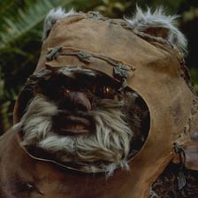 An Ewok character from Star Wars in a forest setting