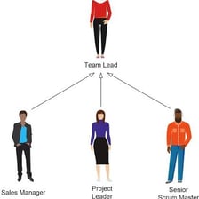 A person leading a team during a project