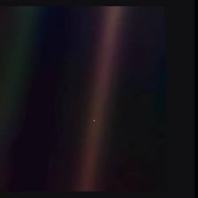 A tiny speck of dust shown against a contrasting surface.