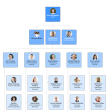 A simple organization chart showing a group’s structure.