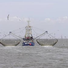 A commercial fishing trawler traveling on open ocean water.