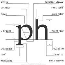 A typography comparison showing letters with and without serifs