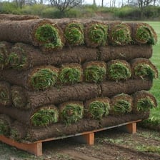 Rolls of living grass sod ready for landscaping.