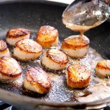 A browned pan-seared scallop served on a plate.