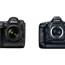 Canon and Nikon camera bodies displayed together