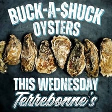 Fresh oysters displayed on ice at a restaurant