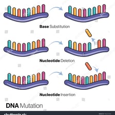 Scientific illustration depicting a change in a DNA sequence.