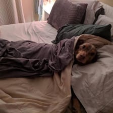 A person tucked into bed for the night