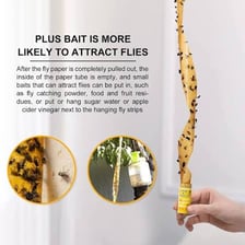 A sticky flypaper strip used to catch flies.