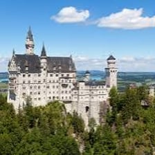 Neuschwanstein Castle on a wooded Bavarian hillside