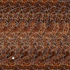A stereogram containing a hidden three-dimensional image