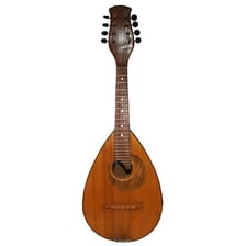 A lute and a mandolin displayed as related string instruments.