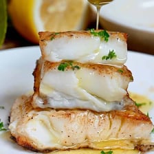 A Chilean sea bass underwater.
