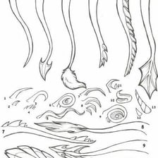 A dragon illustration showing spikes along its tail