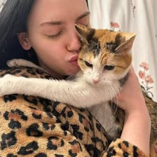 A cat curled up on a person's lap.