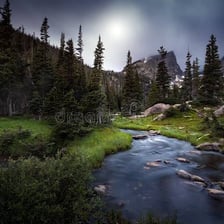 Small stream flowing through a grassy meadow