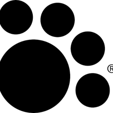 Iams pet-food packaging bearing the brand logo and paw motif