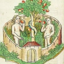 Biblical-style illustration of the Garden of Eden with a fruit tree