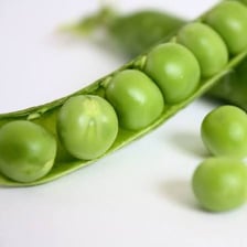 A green pea pod opened to show peas inside