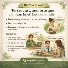 A person responding with a brief and brusque expression.
