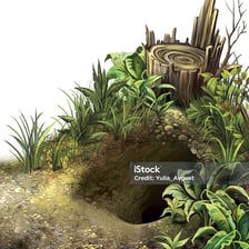 A secluded animal den serving as a lair
