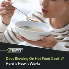 A person blowing across a spoonful of hot soup.