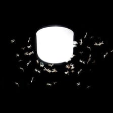 Moths flying around a bright outdoor light at night.