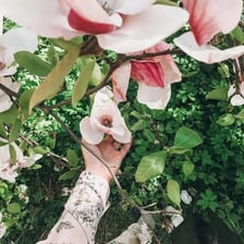 A flower blossom supported by its stem.