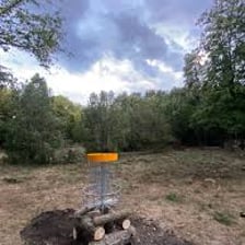 A disc golf basket positioned near a tree on a course