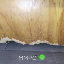 A mouse biting into a piece of wood.