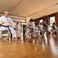 A karate practitioner training in a dojo.
