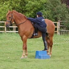 A person mounting a horse.