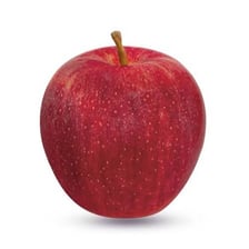 Several red-and-yellow Gala apples