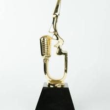 A Billboard Music Awards Icon Award trophy