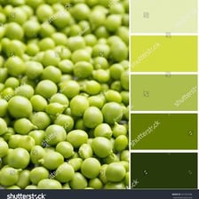 Green peas beside a swatch showing the pea-green color.