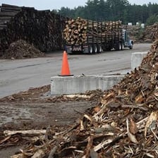 A sawmill produces a pile of bark alongside cut lumber.