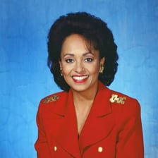 Aunt Viv character from The Fresh Prince of Bel-Air