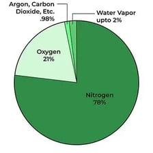 An educational diagram showing the gases in Earth's atmosphere